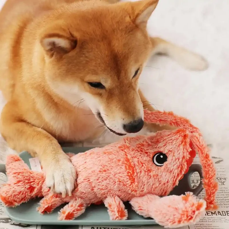 Jouet Homard Vibrant Interactif Chien