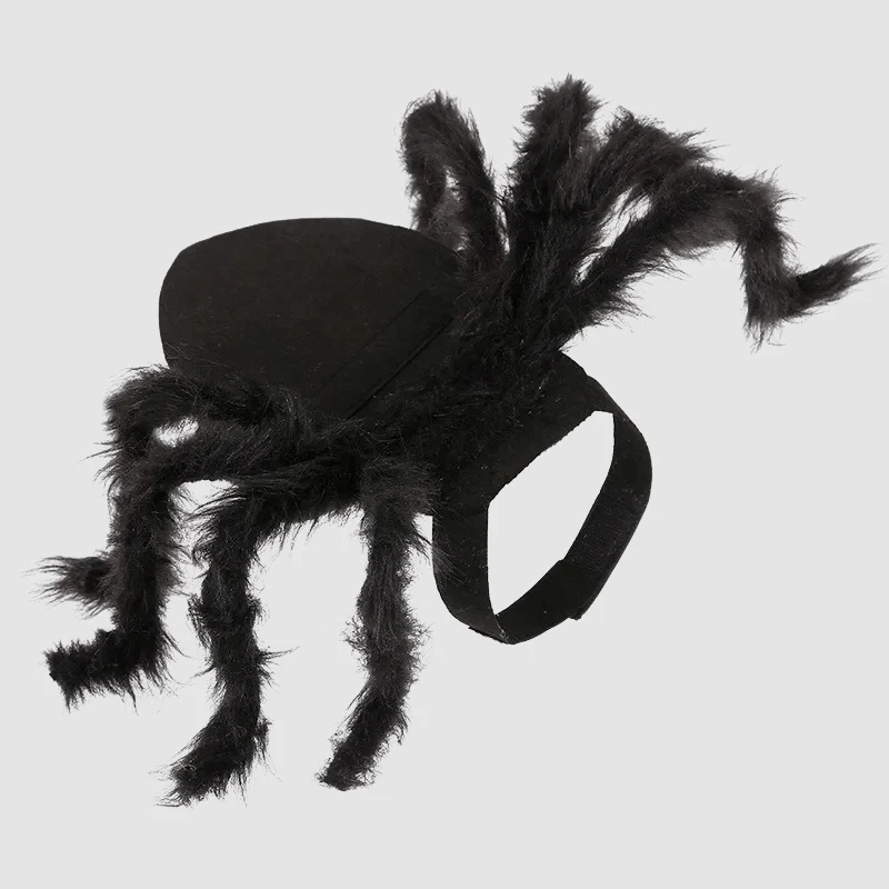Déguisement Araignée Halloween Chien Molosse