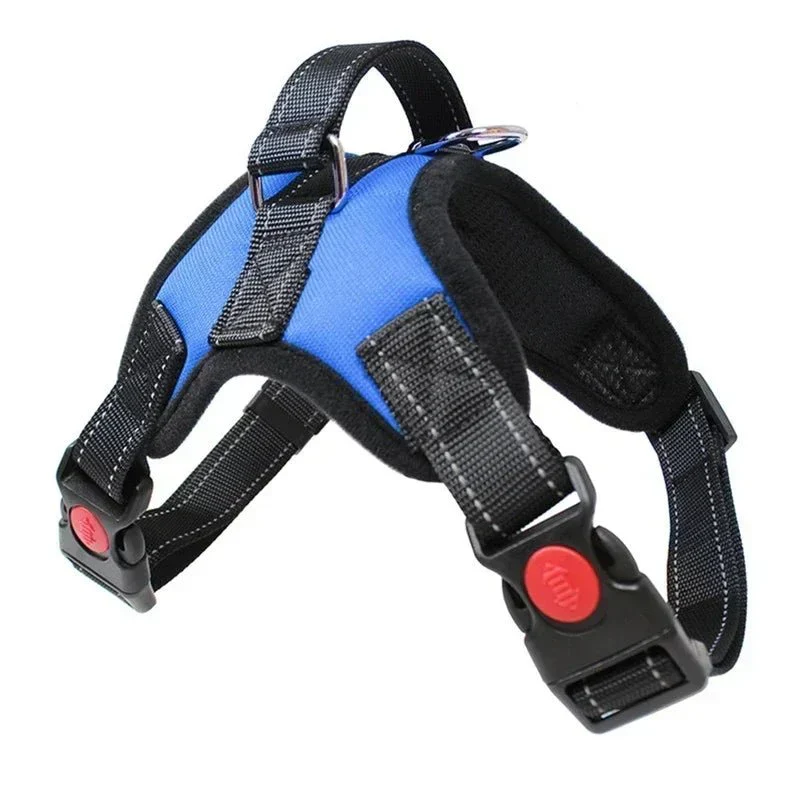 Harnais Chiot Shih Tzu Anti-Traction Réglable