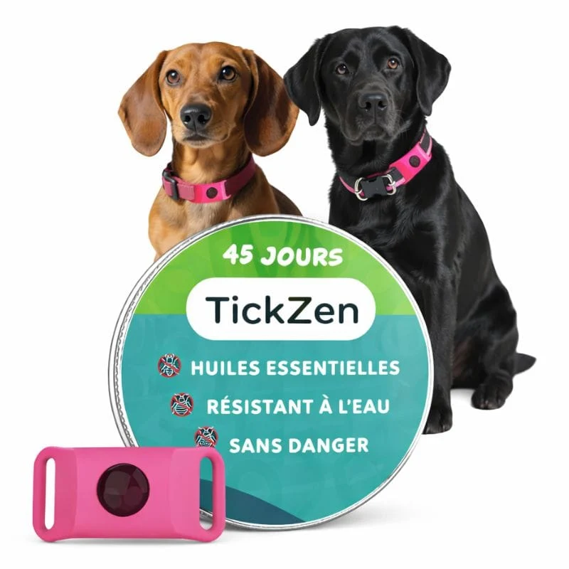 Pendentif Anti-Puces Naturel Chien Huiles Essentielles