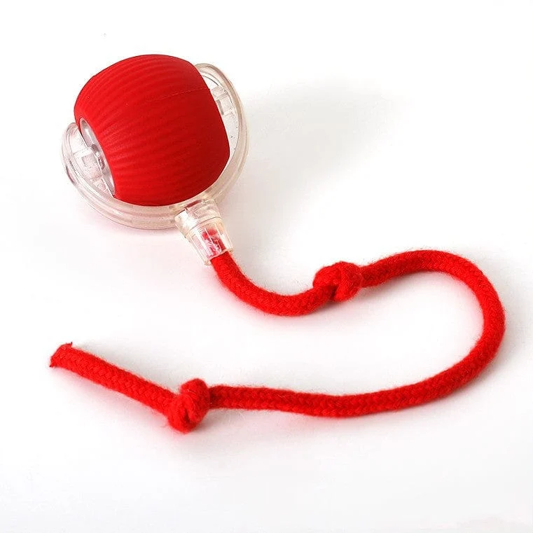Balle Interactive Automatique Gros Chien