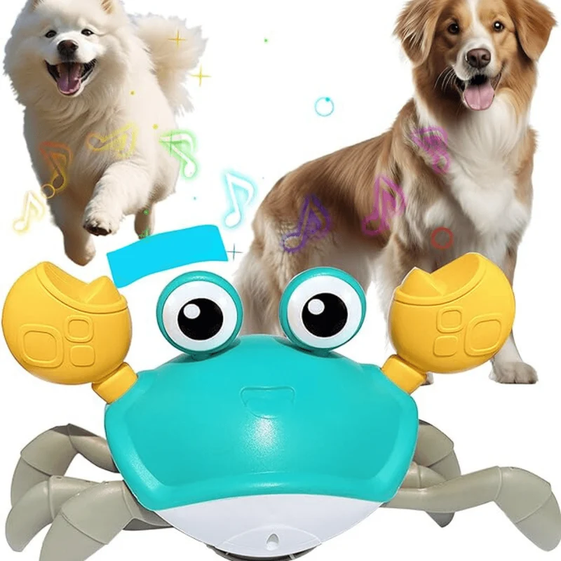 Jouet Crabe Dansant Interactif pour Chien