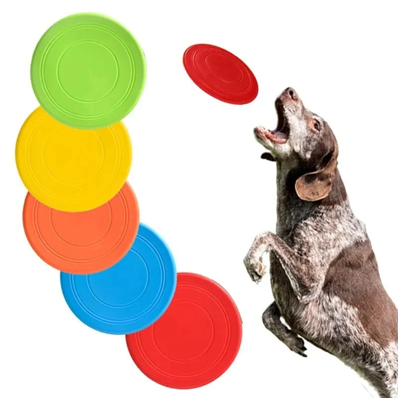 Frisbee Indestructible Gros Chien Flottant