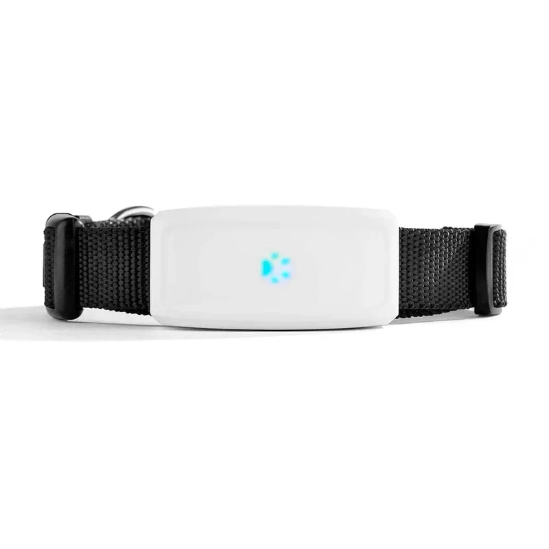 Collier GPS Traceur Étanche 2G pour Chien