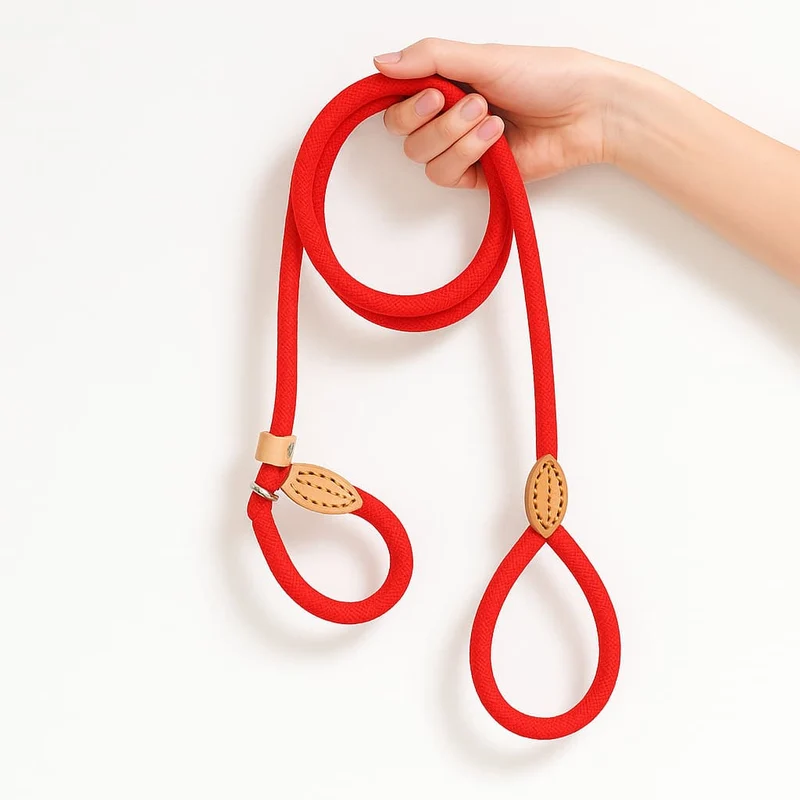 Laisse Lasso Nylon Réglable Gros Chien