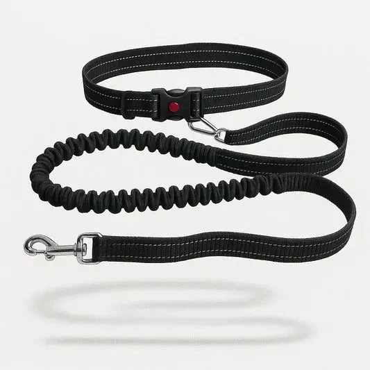 Ceinture Laisse Main Libre Canicross Chien