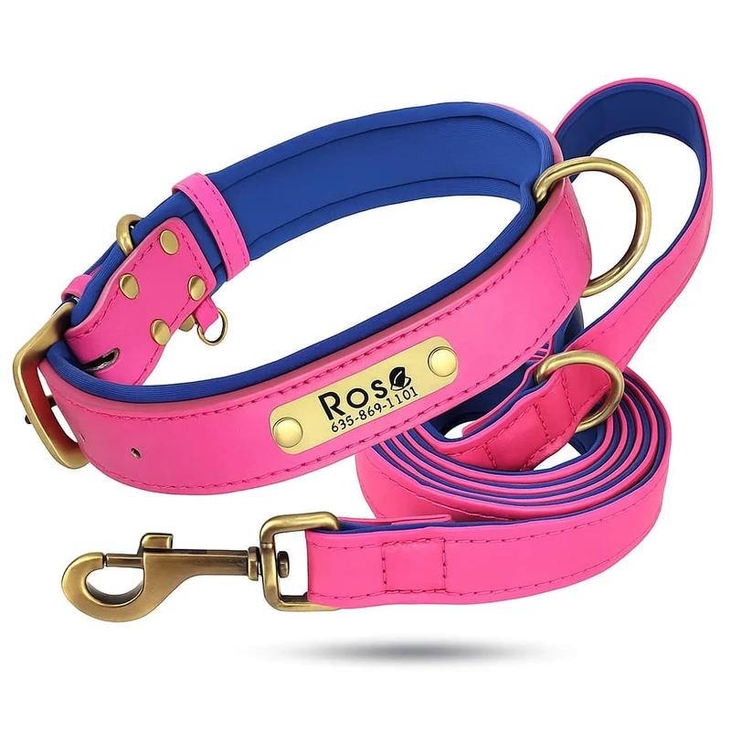 Set Collier Laisse Cuir Gros Chien