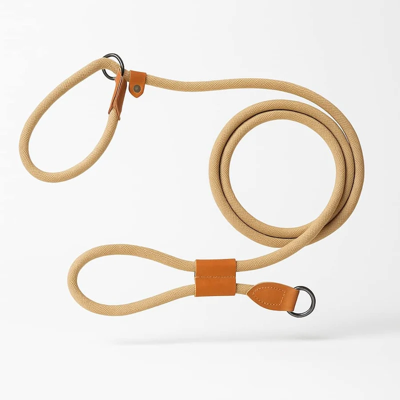 Laisse Lasso Cuir Marron Gros Chien