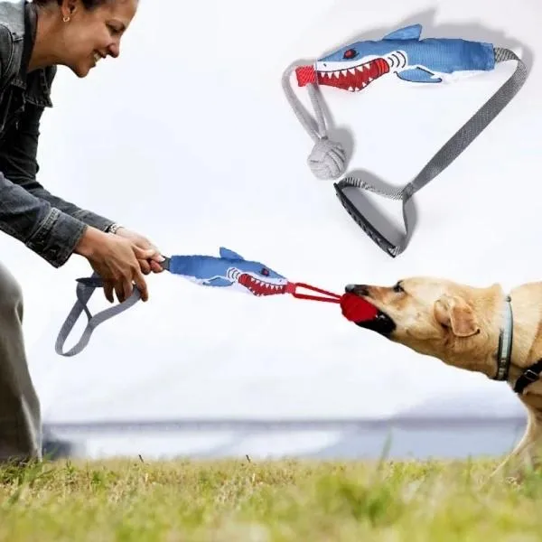 Jouet Traction Interactif Gros Chien
