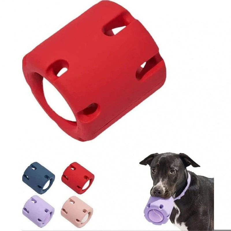 Balle Tennis Caoutchouc Mordant Chien