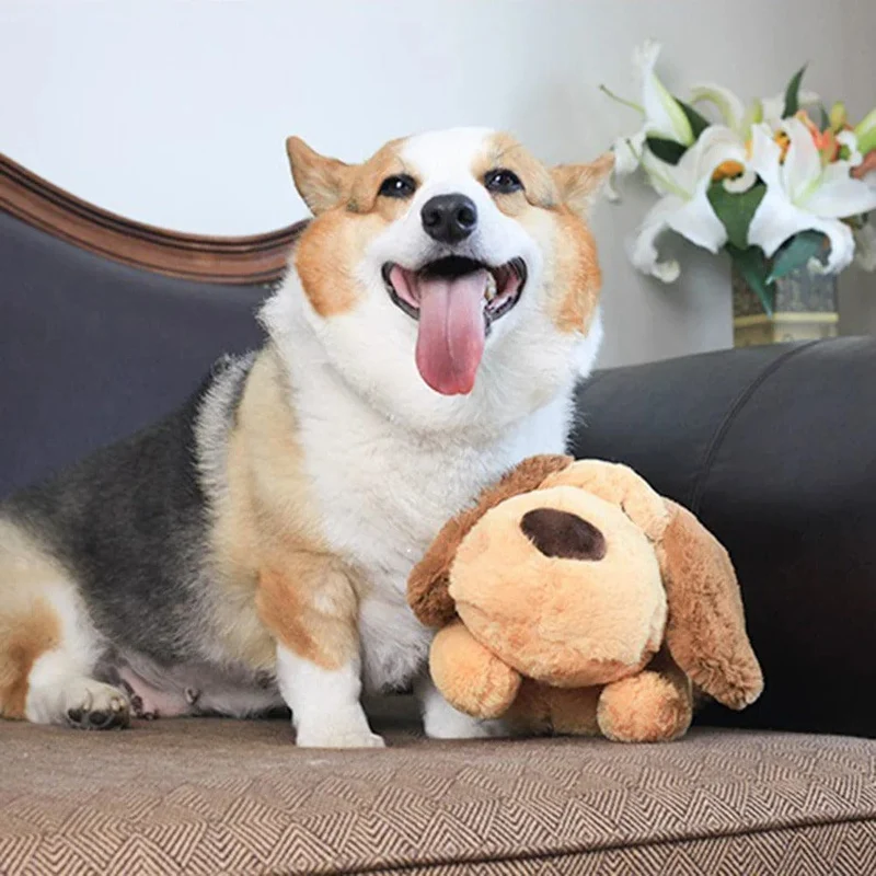 Peluche Apaisante Chien Anxieux Battements