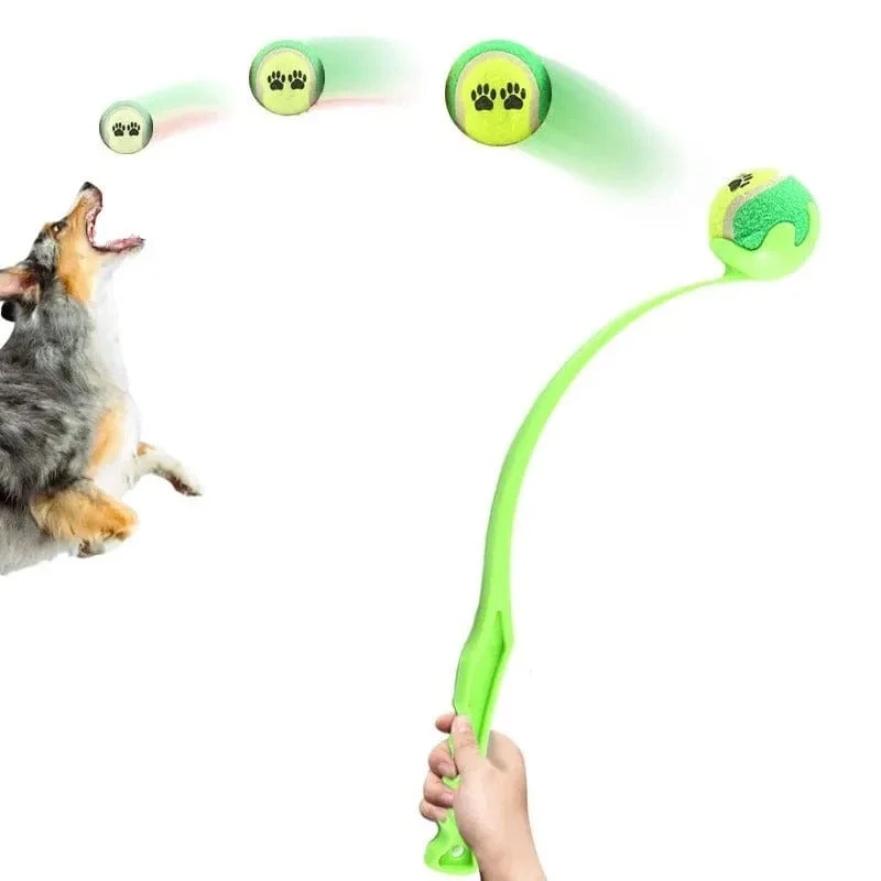 Bâton Lanceur Interactif Jouet Chien