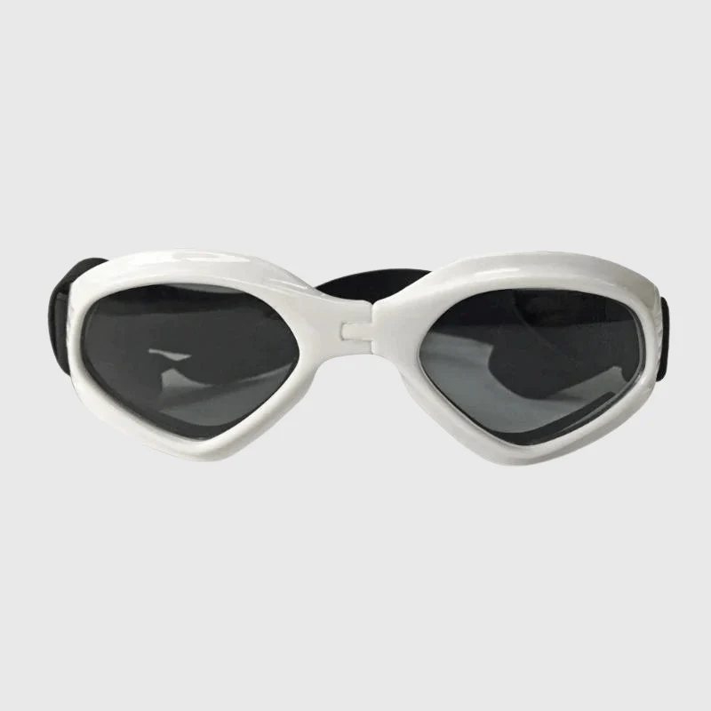 Lunettes Soleil Protection UV Chien