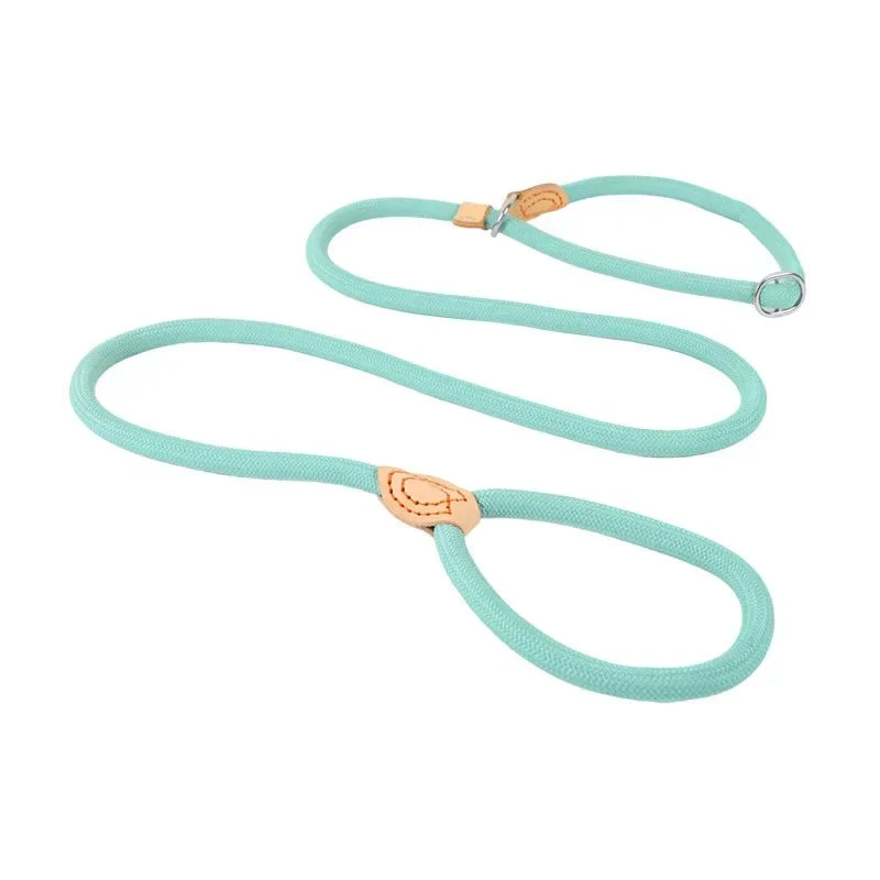 Laisse Lasso Frein Antidérapant Gros Chien