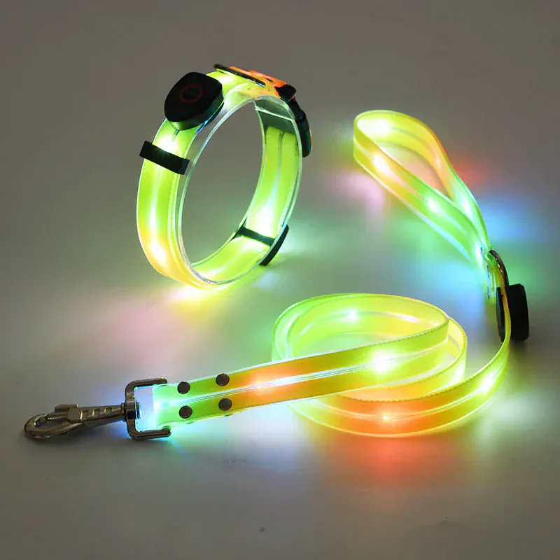 Collier Laisse LED Rechargeable Chien Nuit