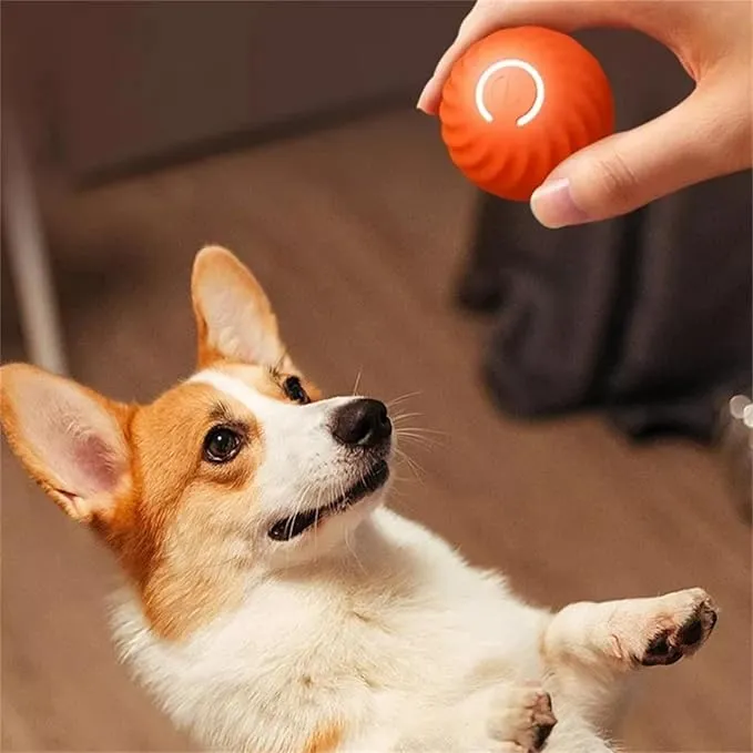 Balle Auto-Roulante Interactive Gros Chien