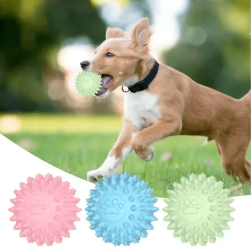 Balle Caoutchouc Rebondissante Gros Chien
