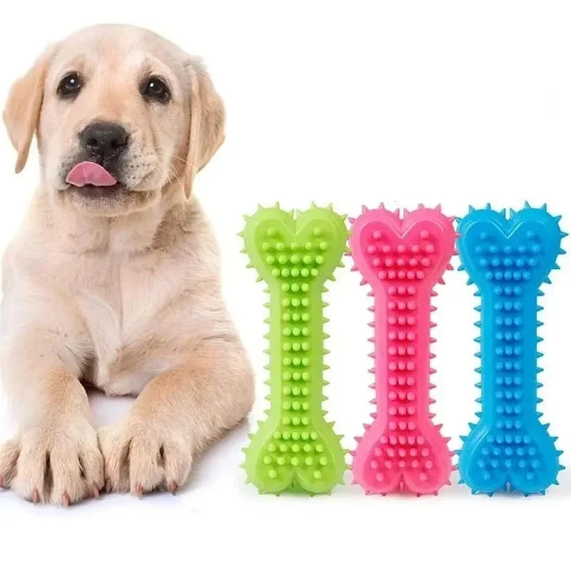 Jouet Os Caoutchouc Dentaire Chien
