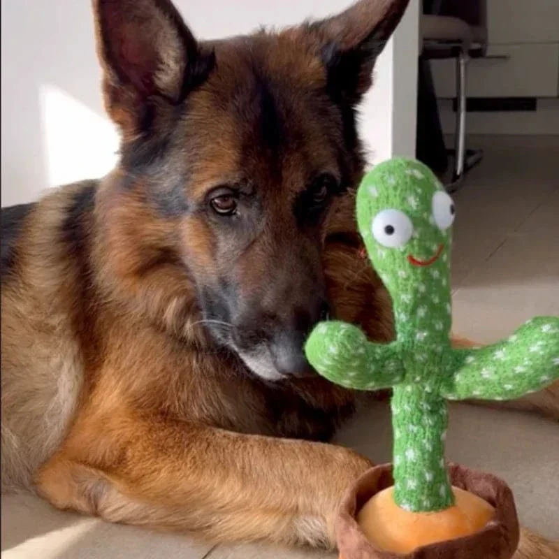Jouet Cactus Interactif Chien Danse Chante
