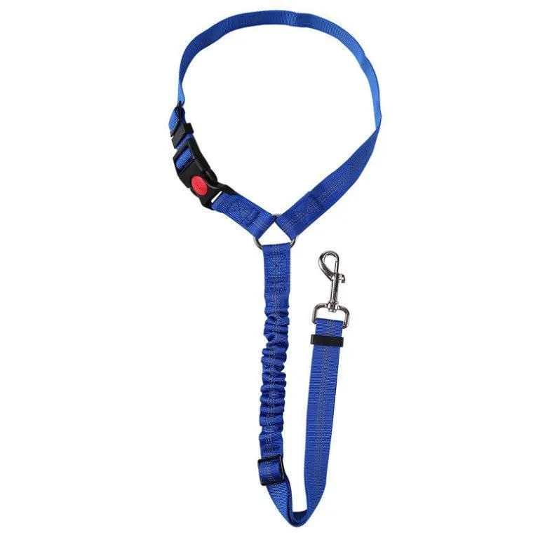 Ceinture Sécurité Voiture Chien Nylon