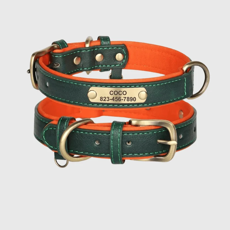 Collier Nylon Plaque Personnalisée Gros Chien