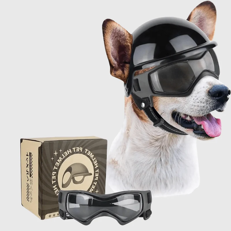 Casque Moto Chien Protection Lunettes Style