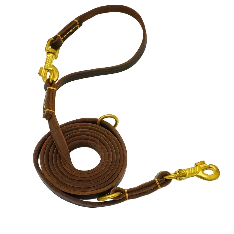 Laisse Multifonction 6-en-1 Gros Chien 2,4m