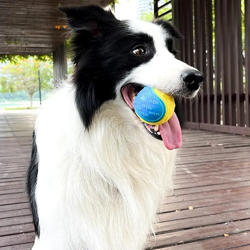 Jouet TPR Souple Anti-Morsure Gros Chien