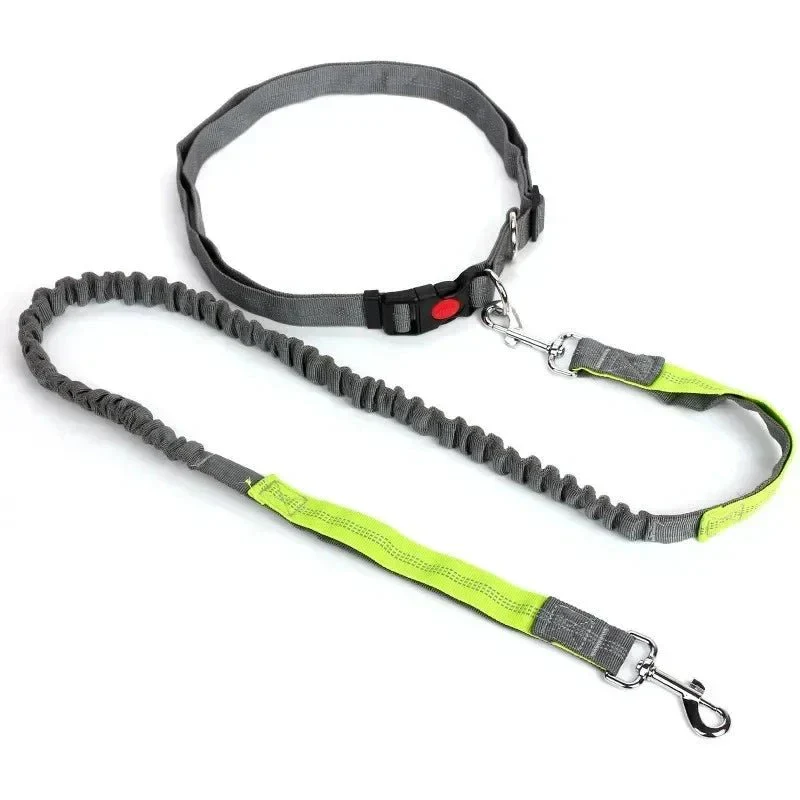 Laisse Mains Libres Jogging Canicross Chien