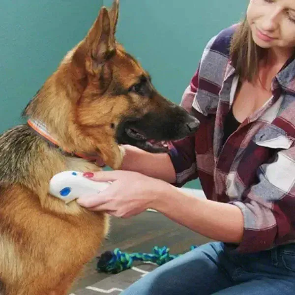Peigne Électronique Anti-Puces Chien Chat