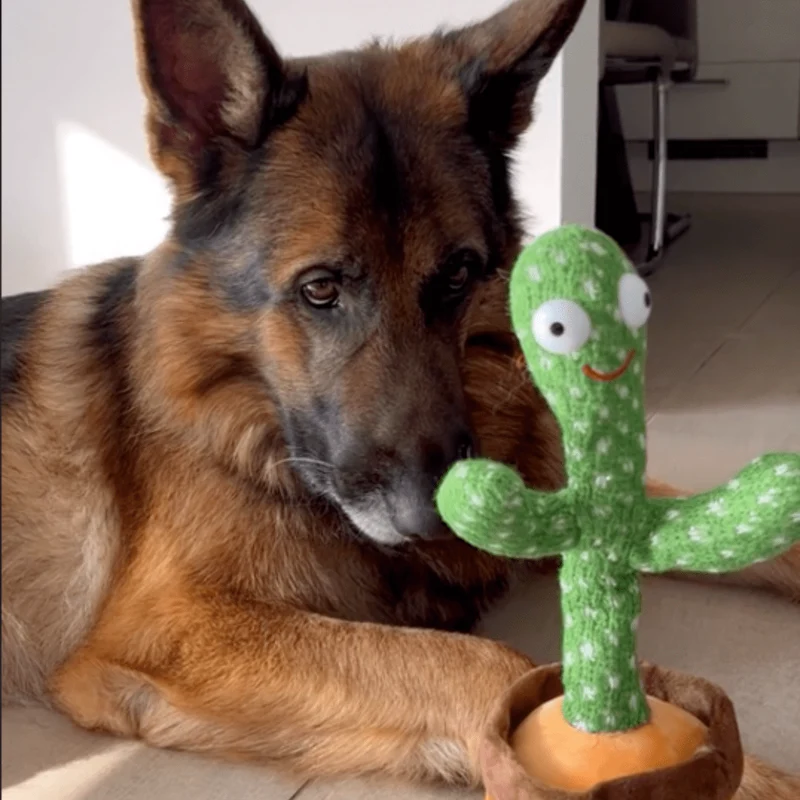 Jouet Cactus Dansant Interactif Chien 33cm