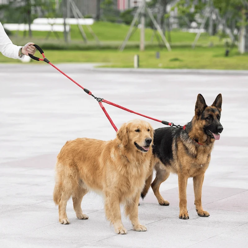 Laisse Double Anti-Enchevêtrement Rotule Chien