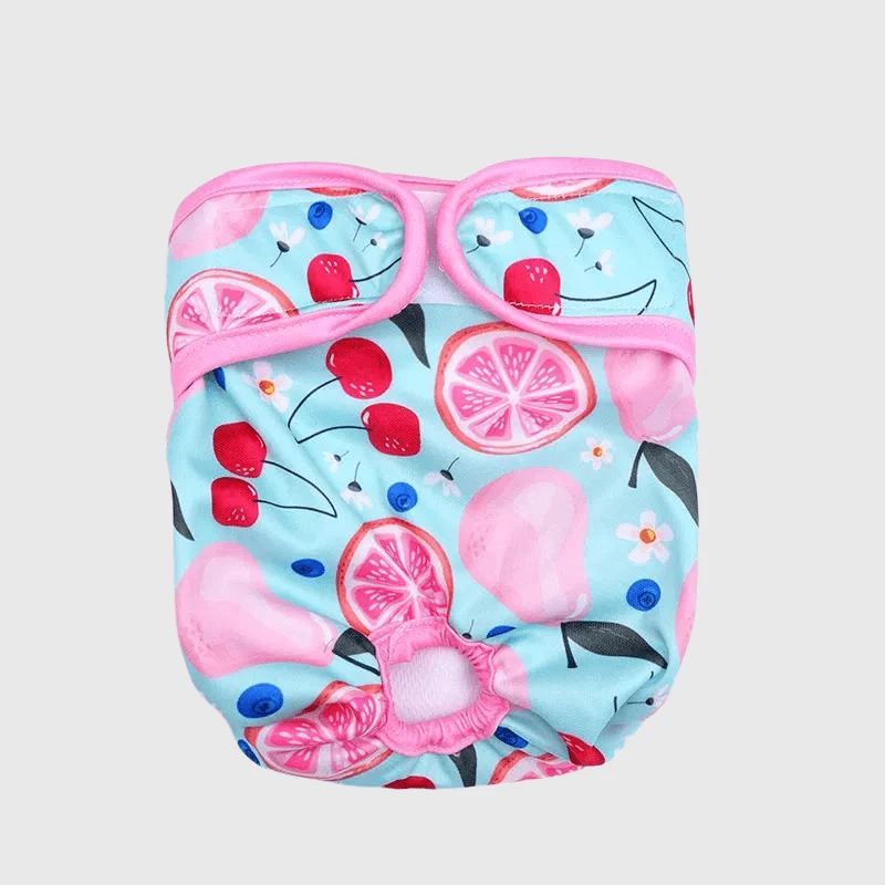 Culotte Hygiénique Chienne Chaleur Fruits