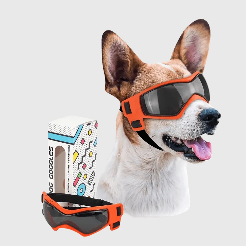 Lunettes Protection Chien Anti-UV Réglables