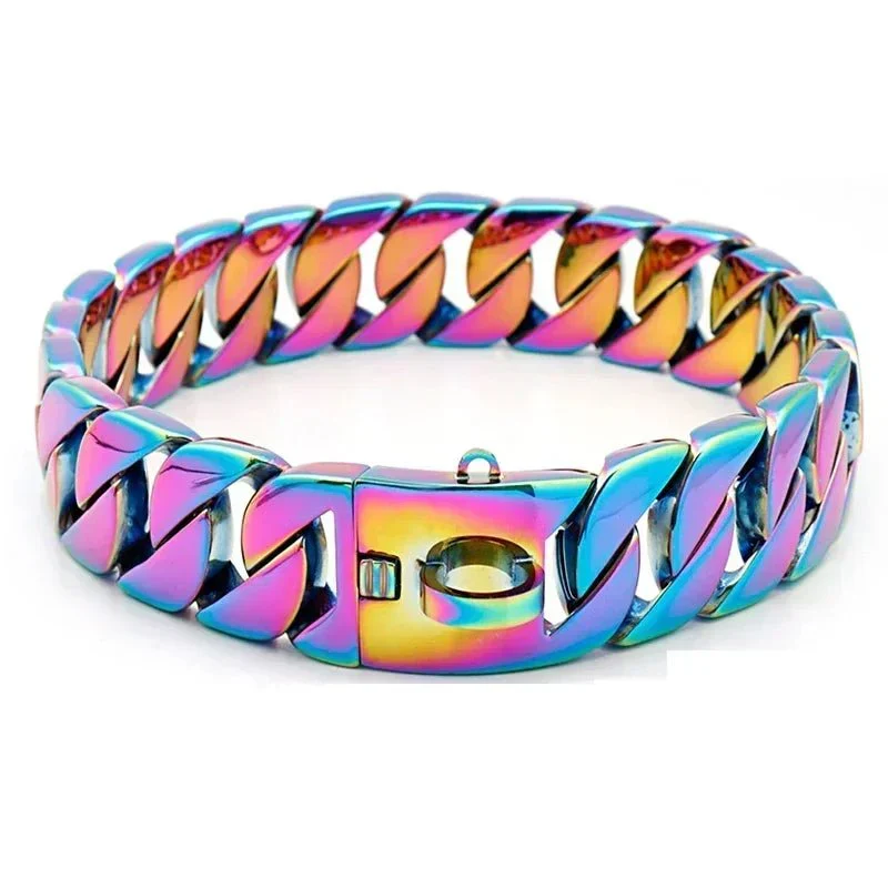 Collier Chaîne Inox Non-Étrangleur Gros Chien