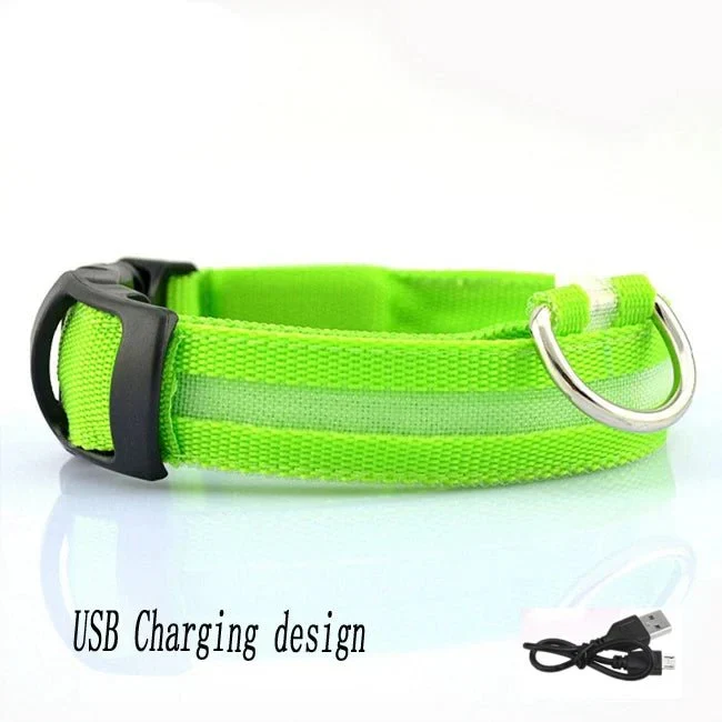 Collier LED Lumineux Chien Nuit Rechargeable