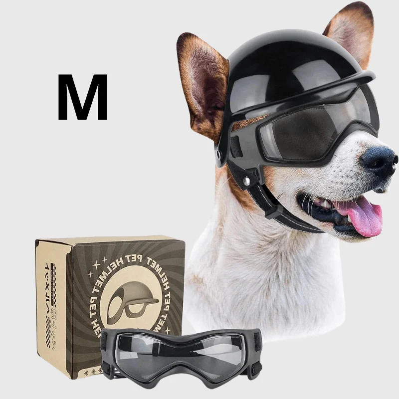 Casque Moto Chien Gros Gabarit Protection