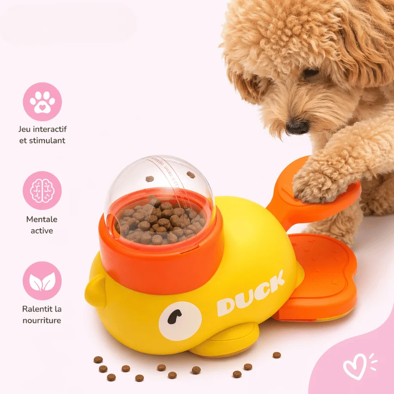 Jouet Puzzle Canard Distributeur Friandises