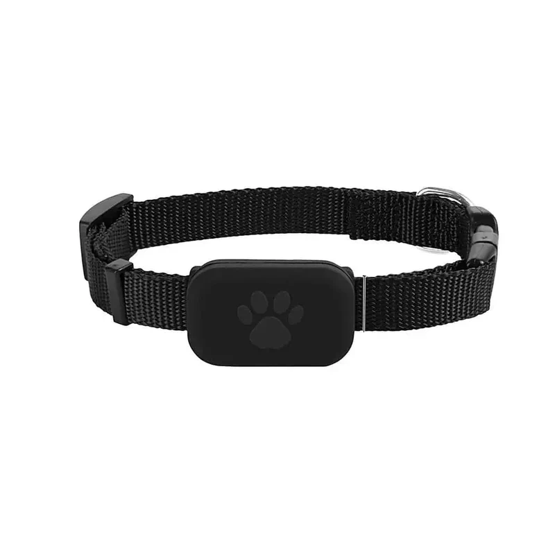 Collier GPS Connecté Chien Sans Abonnement