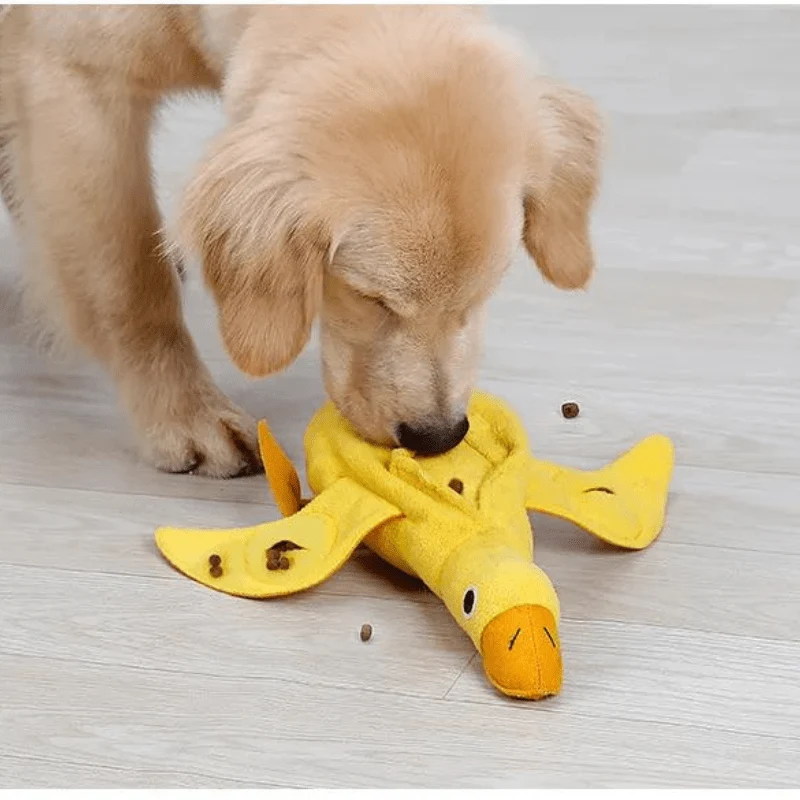 Tapis Fouille Canard Jeu Olfactif Chien