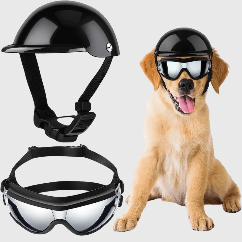 Casque Moto Lunettes Protection Chien Réglable