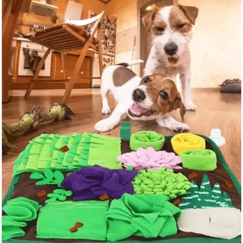 Tapis Fouille Mental Gros Chien Anti-Stress