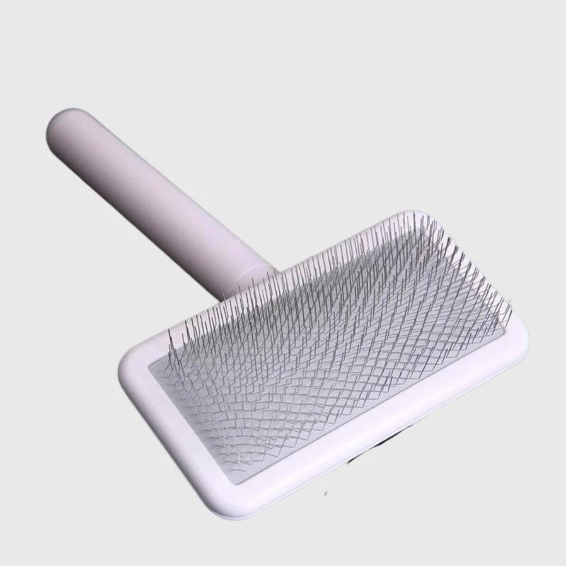 Brosse Poil Court Chien Blanc Ergonomique