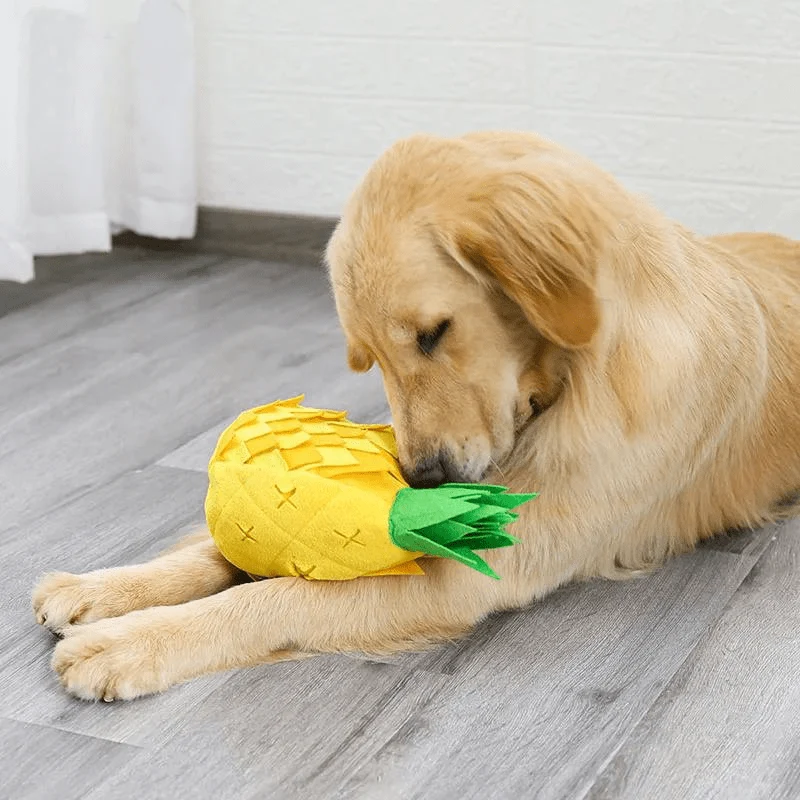 Tapis Fouille Ananas Stimulation Olfactive Chien
