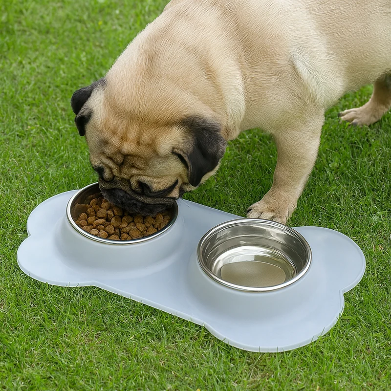 Gamelle Double Inox Antidérapante Gros Chien