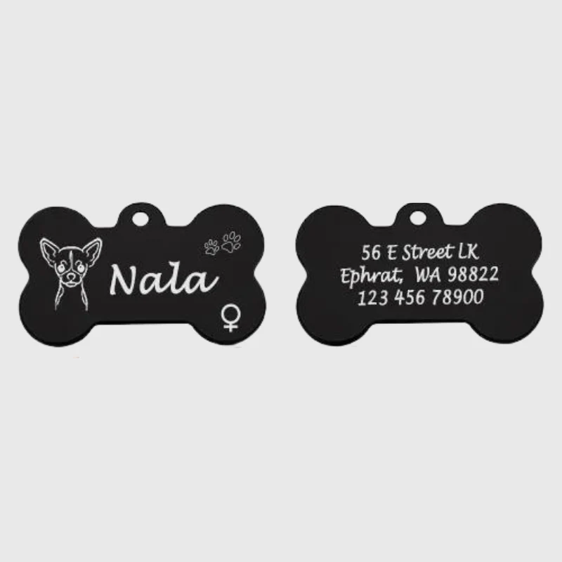 Médaille Identification Chien Gravée Motif Patte