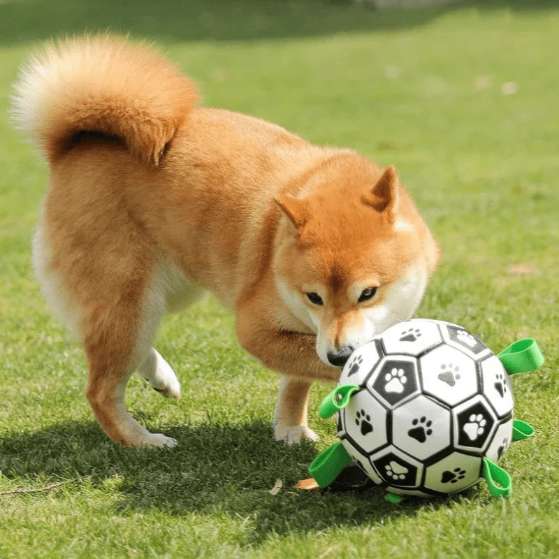 Ballon Anse Résistant Gros Chien Interactif