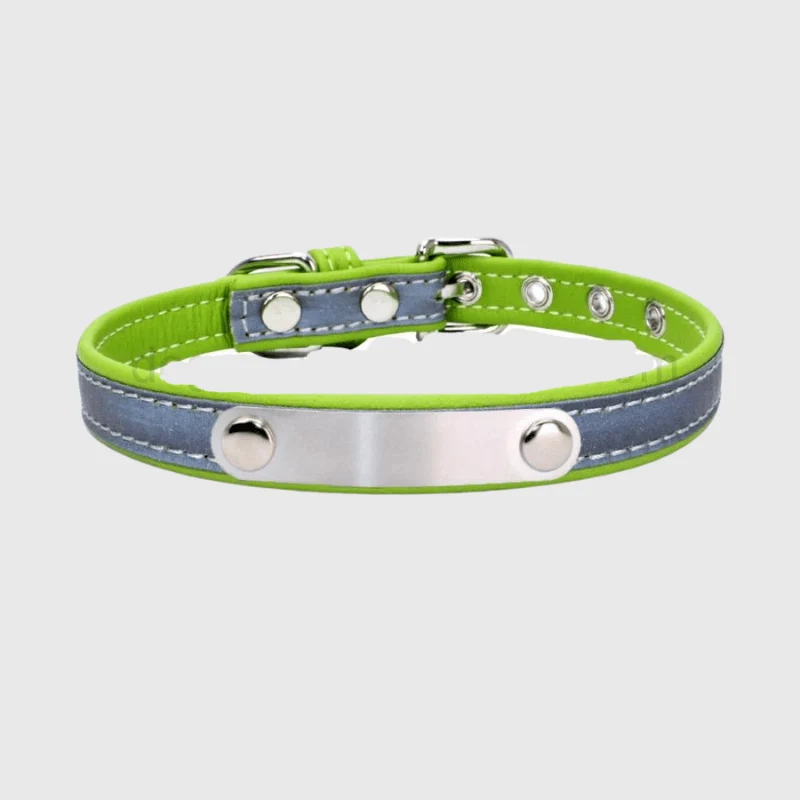 Collier Réfléchissant Haute Visibilité Gros Chien