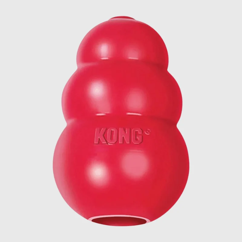 Jouet Caoutchouc Type Kong Chien Ultra-Résistant
