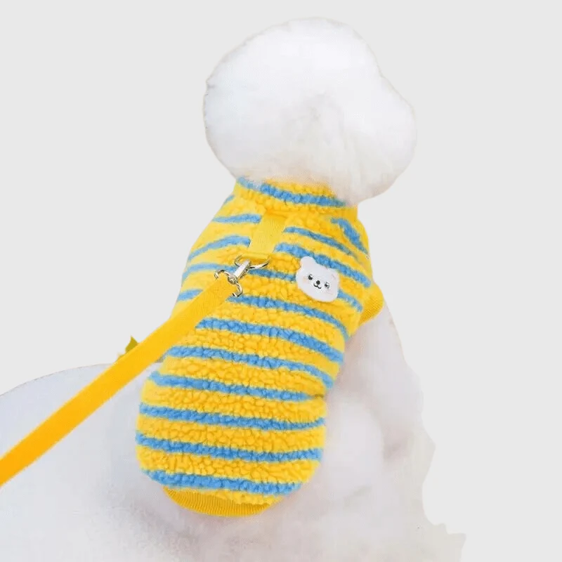Pull Hiver Grand Chien Jaune Vert Chaud